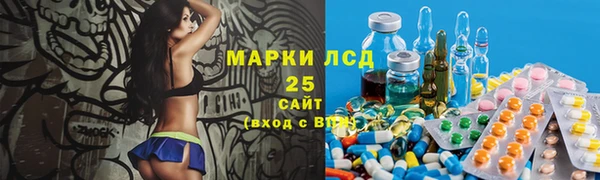 mix Инта