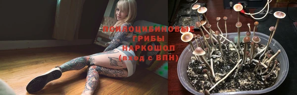 МДПВ Зеленодольск