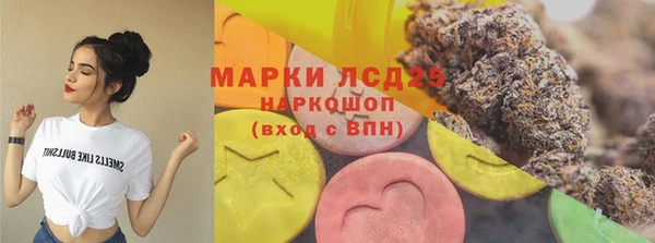 mix Инта