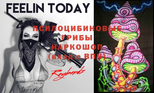 ешки Инсар