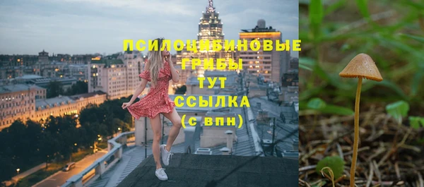 МДПВ Зеленодольск