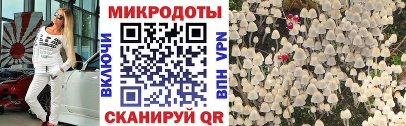 Галлюциногенные грибы Magic Shrooms Касли
